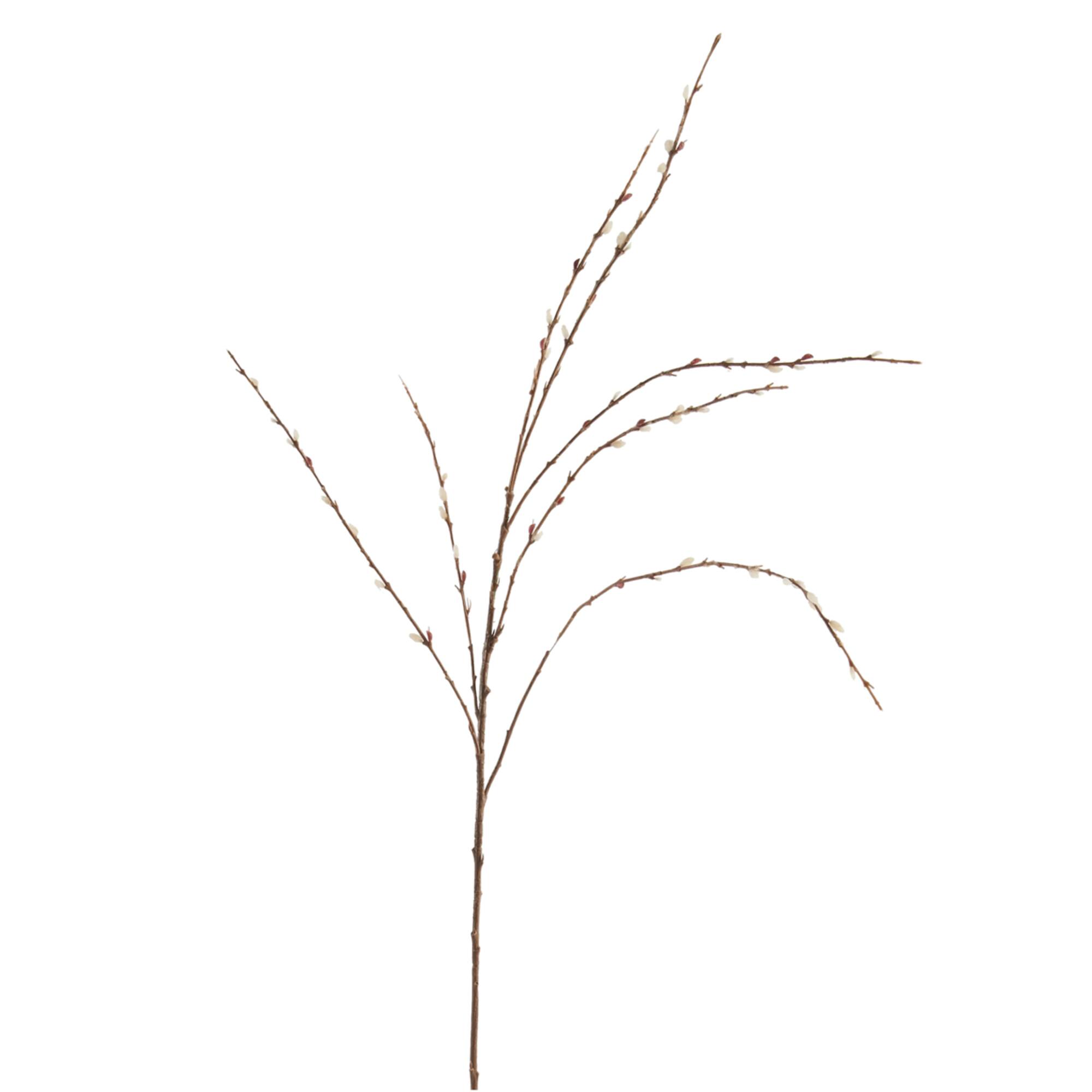 18 Pack: Pussy Willow Stem by Ashland®